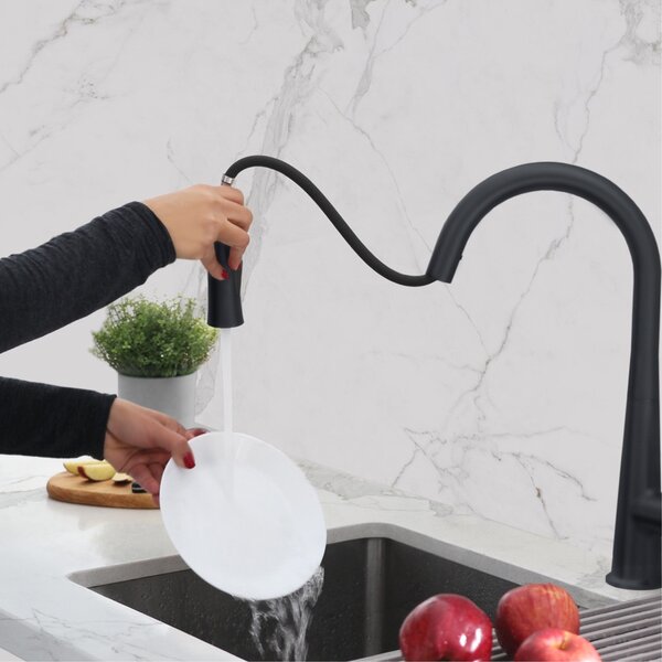 Pulldown Replacement Spray Hose For Kitchen Faucet 